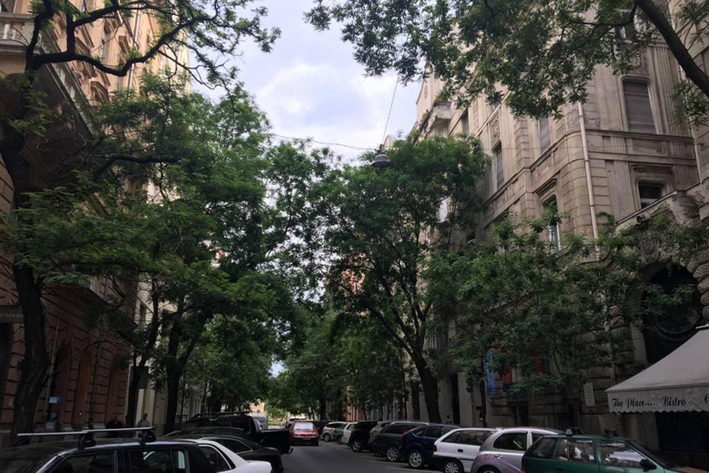 Nice And Cozy Apartment Next To The Parliament — Photos 2